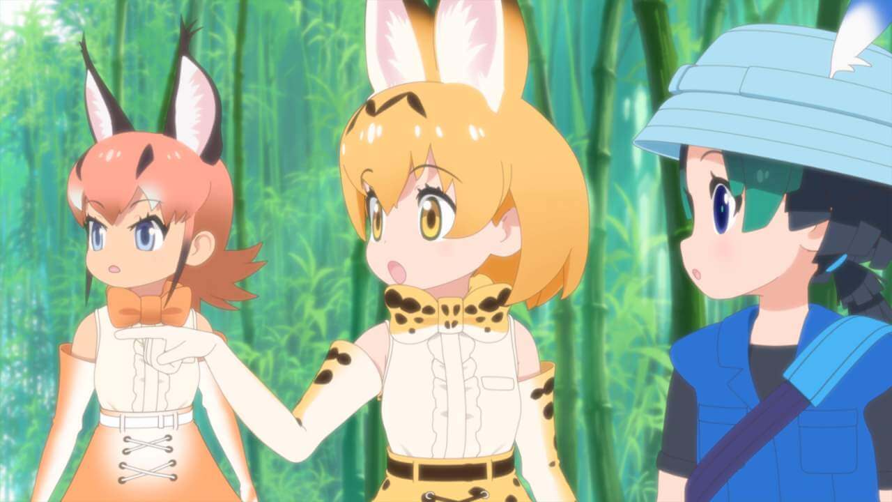 Kemono Friends Preview